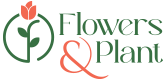 Flowers And Plant