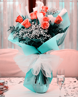 Birthday Celebration