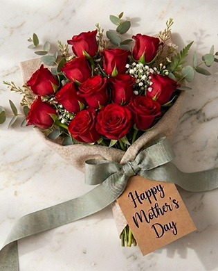 Flowers And Plant