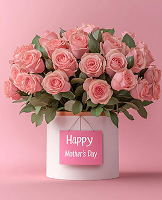 Flowers And Plant