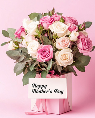Flowers And Plant
